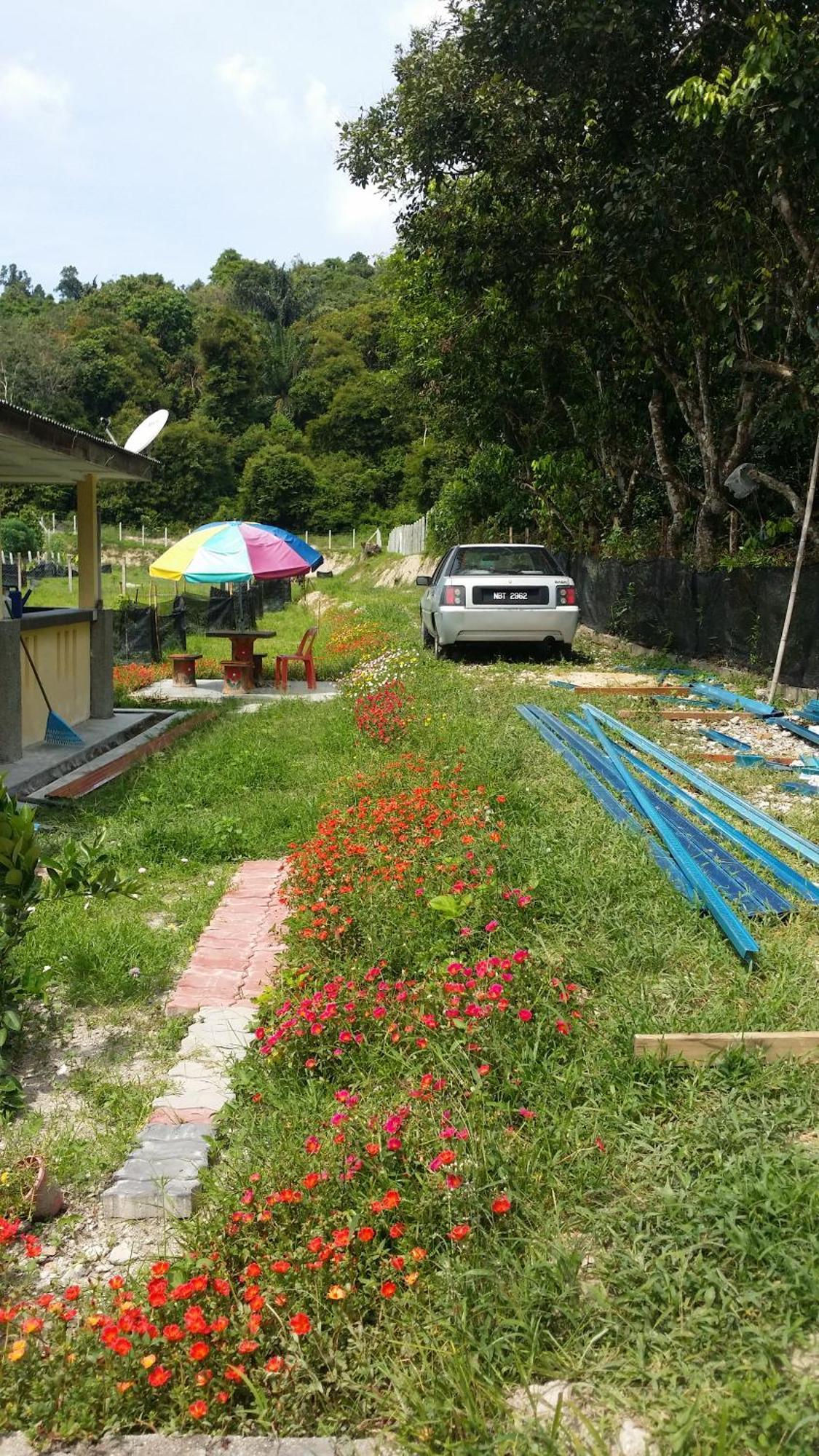 Kuntum Cottage Bed & Breakfast Kampung Tanjung Ipoh Exteriér fotografie